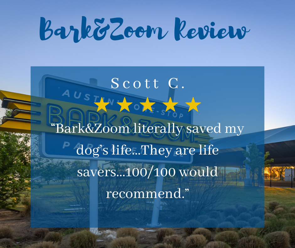 Dog and Cat Boarding Dog Daycare Austin TX